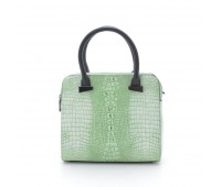 Жіноча сумка світло-зелена (DM1612CL)