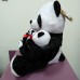 М'яка іграшка Панда з пандочками (DM22008KZ)