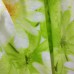 Плед двуспальный легкий полиэстер 180 х 200 см салатный Белые ромашки (DM10503OZ) 
